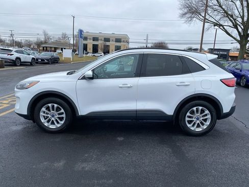 Used 2020 Ford Escape SE image 7
