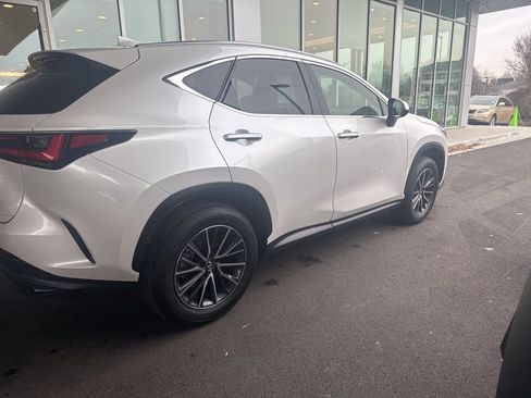Used 2024 Lexus NX 250 FWD w/ Cold Area Package image 2