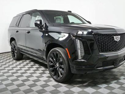 Used 2026 Cadillac Escalade Platinum Sport w/ LPO, ONYX Package