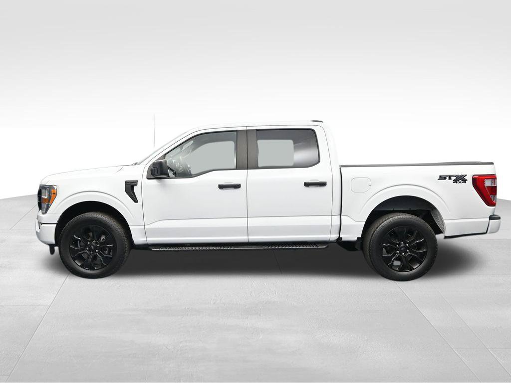 Used 2022 Ford F150 XL w/ STX Black Appearance Package AWD/4WD image 2