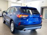 Used 2022 Ford Escape SE w/ Convenience Package image 5