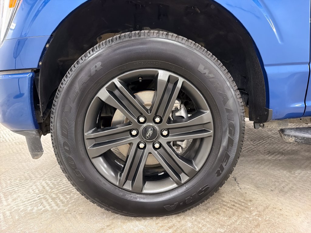 Used 2022 Ford F150 XLT w/ Equipment Group 302A High AWD/4WD image 14