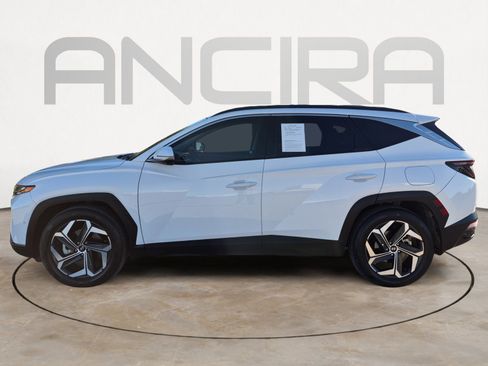 Used 2023 Hyundai Tucson Limited w/ Winter Package image 6