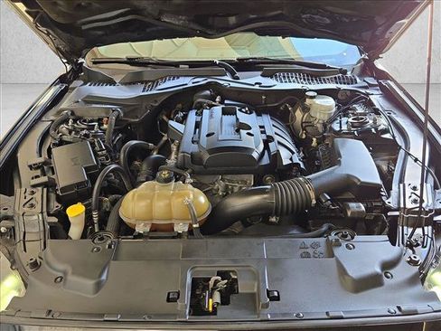 Used 2019 Ford Mustang Coupe w/ Equipment Group 101A RWD image 21