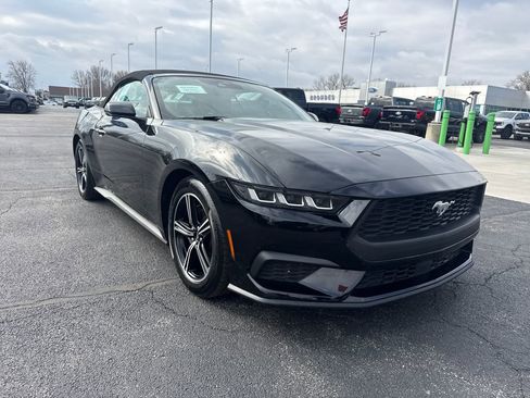 Used 2025 Ford Mustang Premium image 4