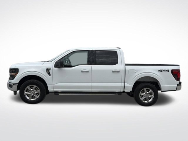Used 2025 Ford F150 XLT w/ Equipment Group 301A Standard AWD/4WD image 2