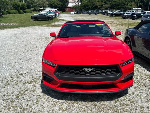 Used 2025 Ford Mustang Premium RWD image 2