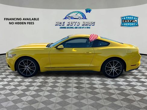 Used 2017 Ford Mustang Premium w/ Wheel & Stripe Package image 4