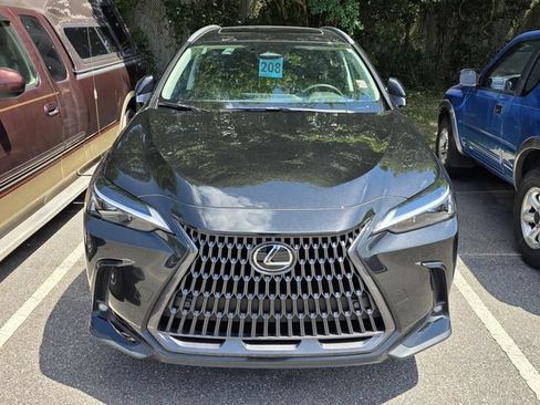 Used 2025 Lexus NX 250 FWD w/ Cold Area Package image 2