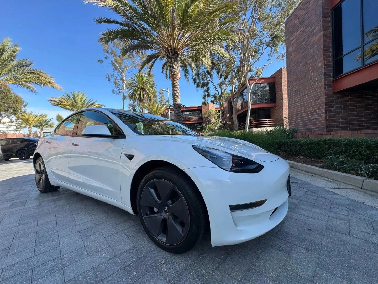 Used 2021 Tesla Model 3 Standard Range Plus RWD image 3