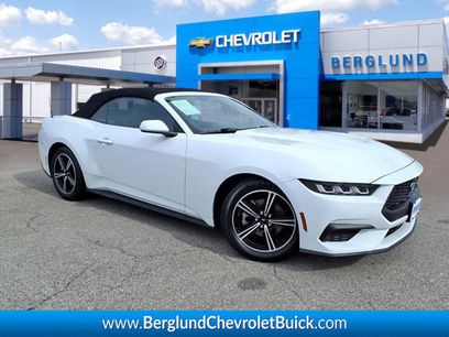 Used 2024 Ford Mustang Premium
