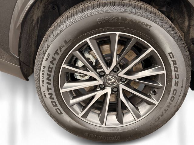 Certified 2024 Lexus NX 350h AWD w/ Vision Package image 5