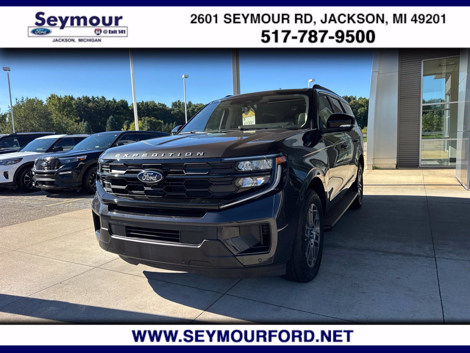 Used 2025 Ford Expedition Active AWD/4WD image 1