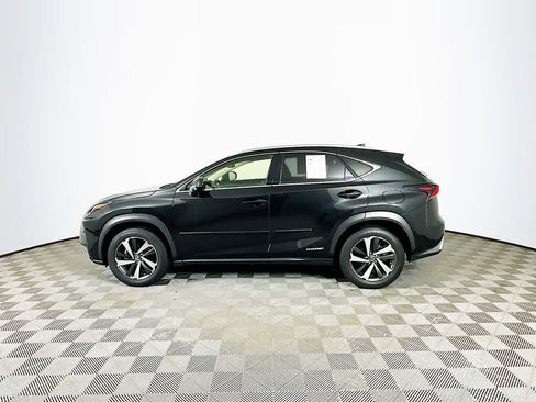 Used 2020 Lexus NX 300h AWD w/ Premium Package image 5