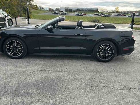 Used 2018 Ford Mustang Premium image 5