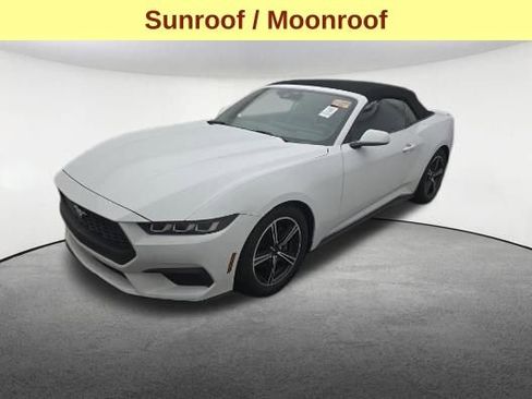 Used 2024 Ford Mustang Premium RWD image 4