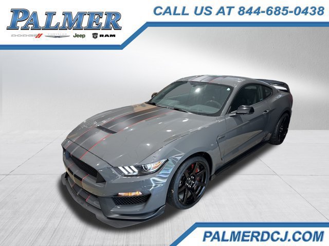Used 2018 Ford Mustang Shelby GT350R w/ GT350R Equipment Group 920A RWD image 1