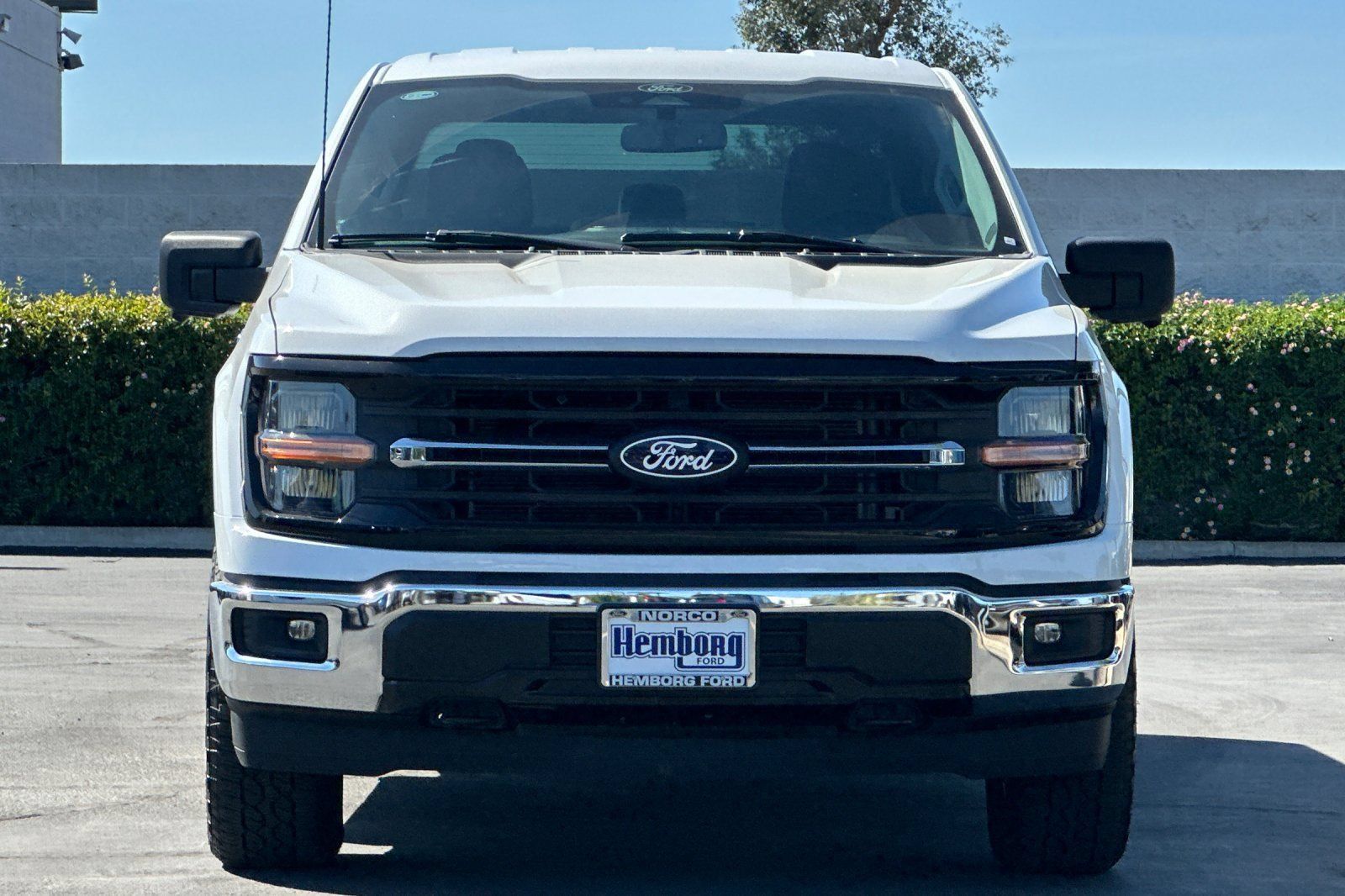 Used 2024 Ford F150 XLT AWD/4WD image 9
