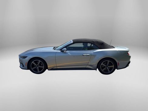 Used 2025 Ford Mustang Premium RWD image 13