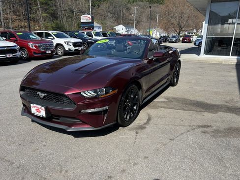 Used 2018 Ford Mustang Convertible w/ Ecoboost Performance Package image 6