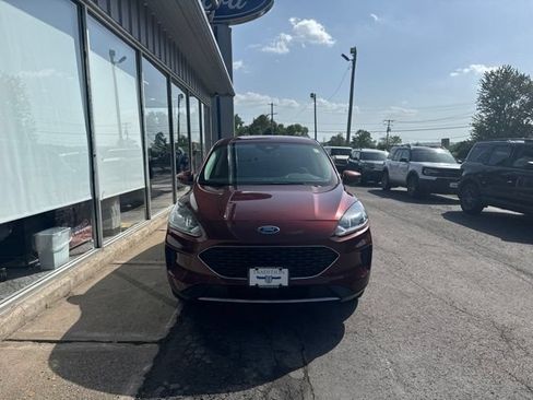 Used 2021 Ford Escape SE AWD/4WD image 2