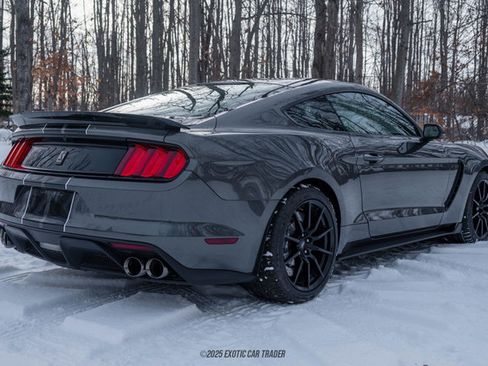 Used 2015 Ford Mustang Shelby GT350 image 8