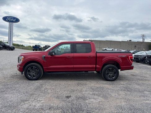 Used 2022 Ford F150 XLT w/ Equipment Group 302A High AWD/4WD image 10