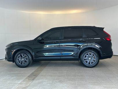 Used 2026 Honda CR-V TrailSport