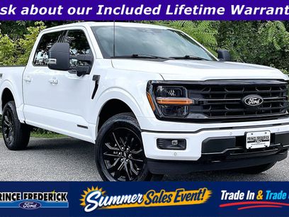 Used 2025 Ford F150 XLT w/ Equipment Group 303A High