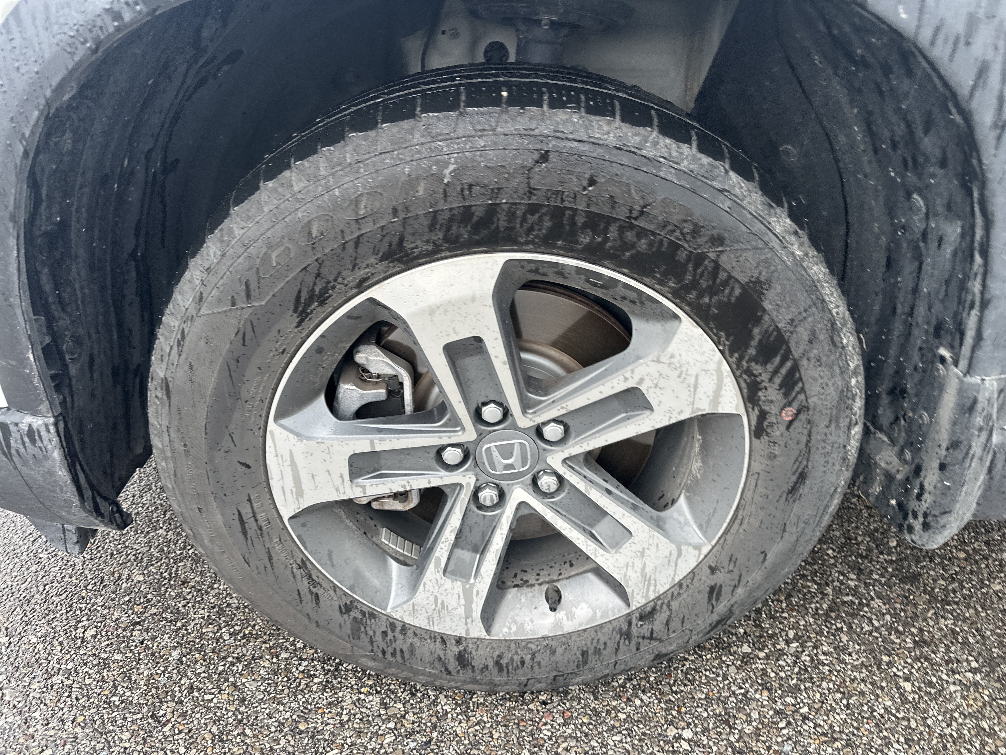 Certified 2025 Honda Pilot EX-L image 7