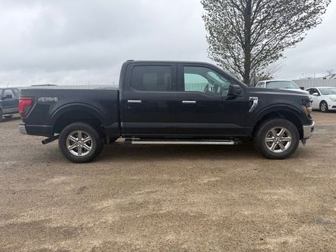 Used 2025 Ford F150 XLT w/ Equipment Group 301A Standard AWD/4WD image 6