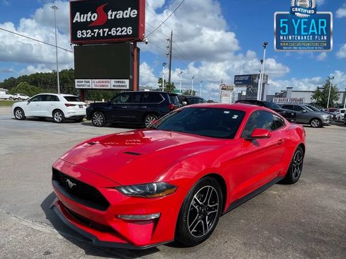 Used 2021 Ford Mustang Coupe w/ Equipment Group 101A RWD image 1