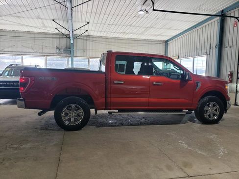 Used 2023 Ford F150 XLT w/ Equipment Group 302A High image 2