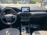 Used 2022 Ford Escape SE w/ SE Sport Appearance Package image 3