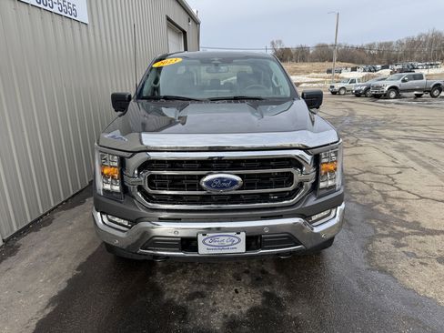 Used 2023 Ford F150 XLT w/ Equipment Group 302A High image 3