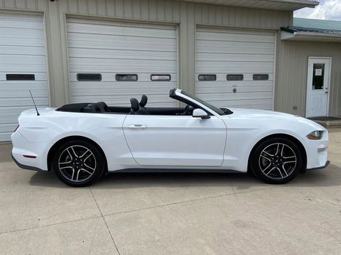 Used 2023 Ford Mustang Premium RWD image 12