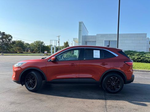 Used 2020 Ford Escape SE AWD/4WD image 4