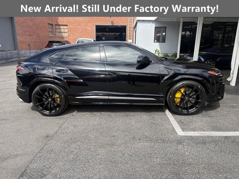 Used 2021 Lamborghini Urus AWD/4WD image 1