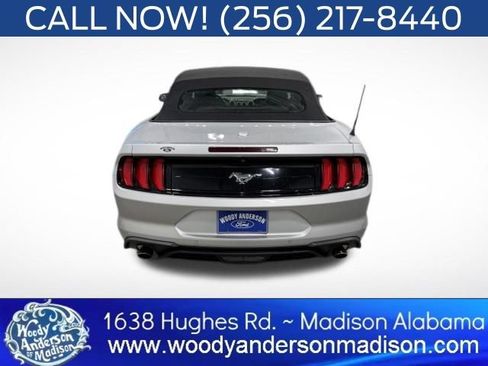 Used 2019 Ford Mustang Premium w/ Ecoboost Performance Package RWD image 6