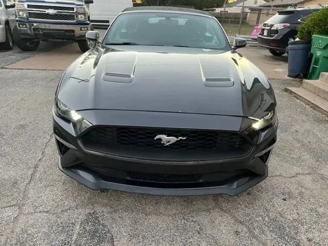 Used 2019 Ford Mustang Convertible RWD image 2