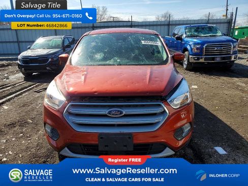 Used 2019 Ford Escape SE image 5