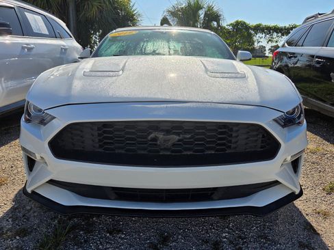 Used 2019 Ford Mustang Premium RWD image 2