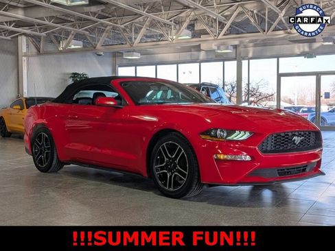 Used 2018 Ford Mustang Premium image 3
