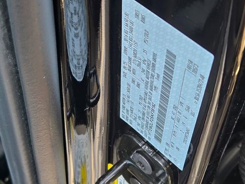 New 2025 Ford F150 STX w/ Equipment Group 200A image 29