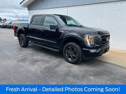 Used 2023 Ford F150 XLT w/ Equipment Group 302A High AWD/4WD image 1