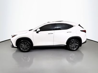 Certified 2025 Lexus NX 350h AWD w/ Cold Area Package