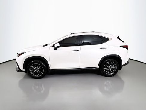 Used 2025 Lexus NX 350h AWD w/ Cold Area Package image 4