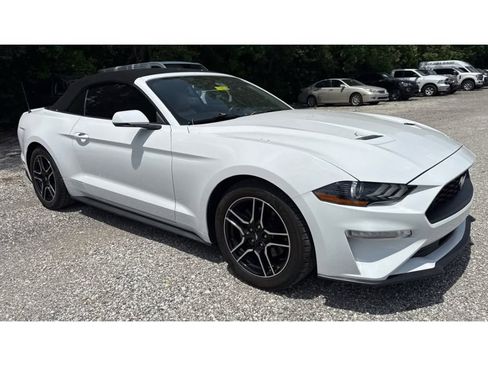 Used 2019 Ford Mustang Premium RWD image 1