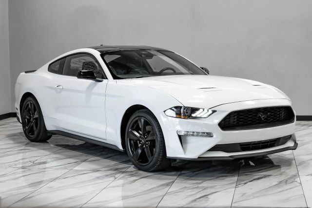Used 2023 Ford Mustang Premium w/ Mustang Nite Pony Package RWD image 5