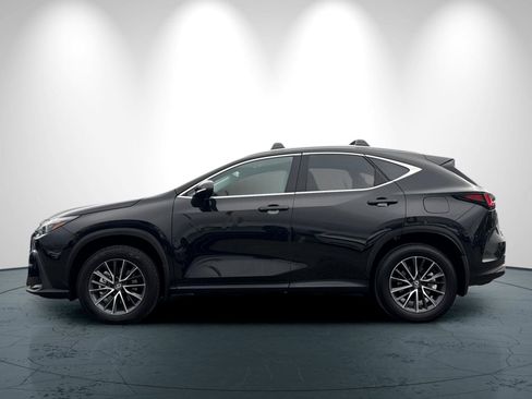 Used 2025 Lexus NX 250 250 Premium image 7